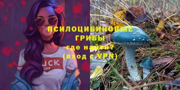 прущие грибы Богородицк