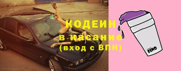 прущие грибы Богородицк