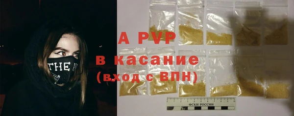 прущие грибы Богородицк