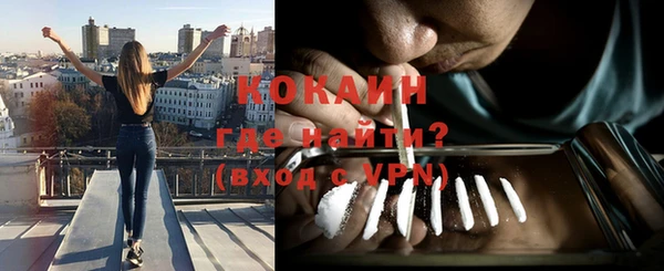прущие грибы Богородицк