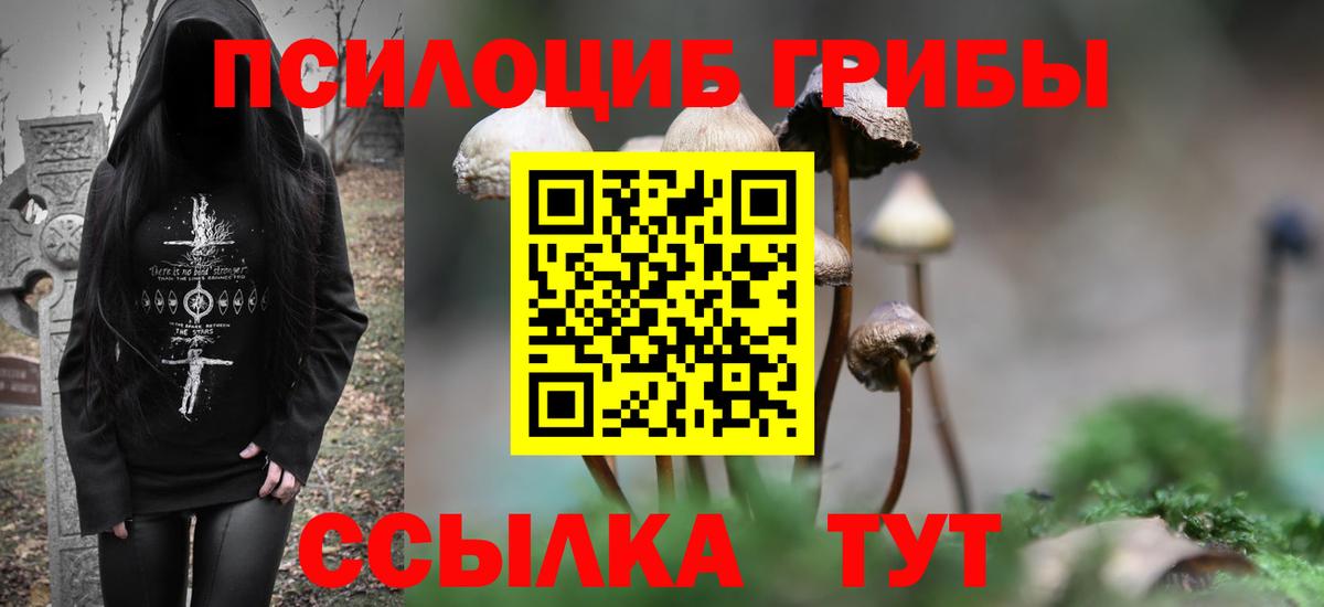 Псилоцибиновые грибы Psilocybine cubensis Наро-Фоминск