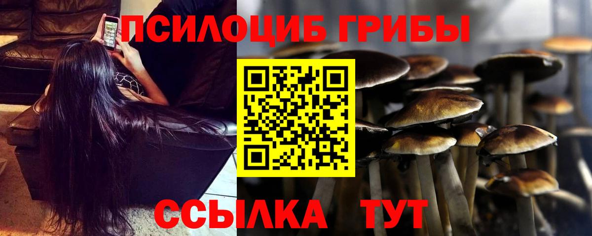 Наро-Фоминск  наркотики  Вход с VPN  Псилоцибиновые грибы мухоморы 