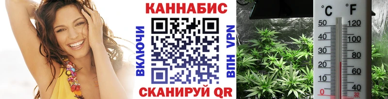 наркота Наро-Фоминск Каннабис планчик